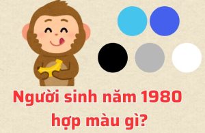 Màu hợp tuổi canh thân 1980