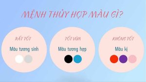 Màu sắc hợp và kỵ của tuổi quý hợi 1983