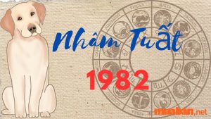 Tuổi nhâm tuất 1982 hợp và kỵ màu gì